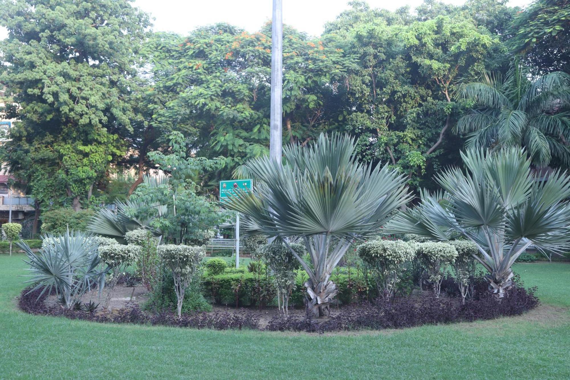 Divine India Service Apartment 3Bhk,B57 Sarita Vihar,Apollo New Delhi Eksteriør bilde