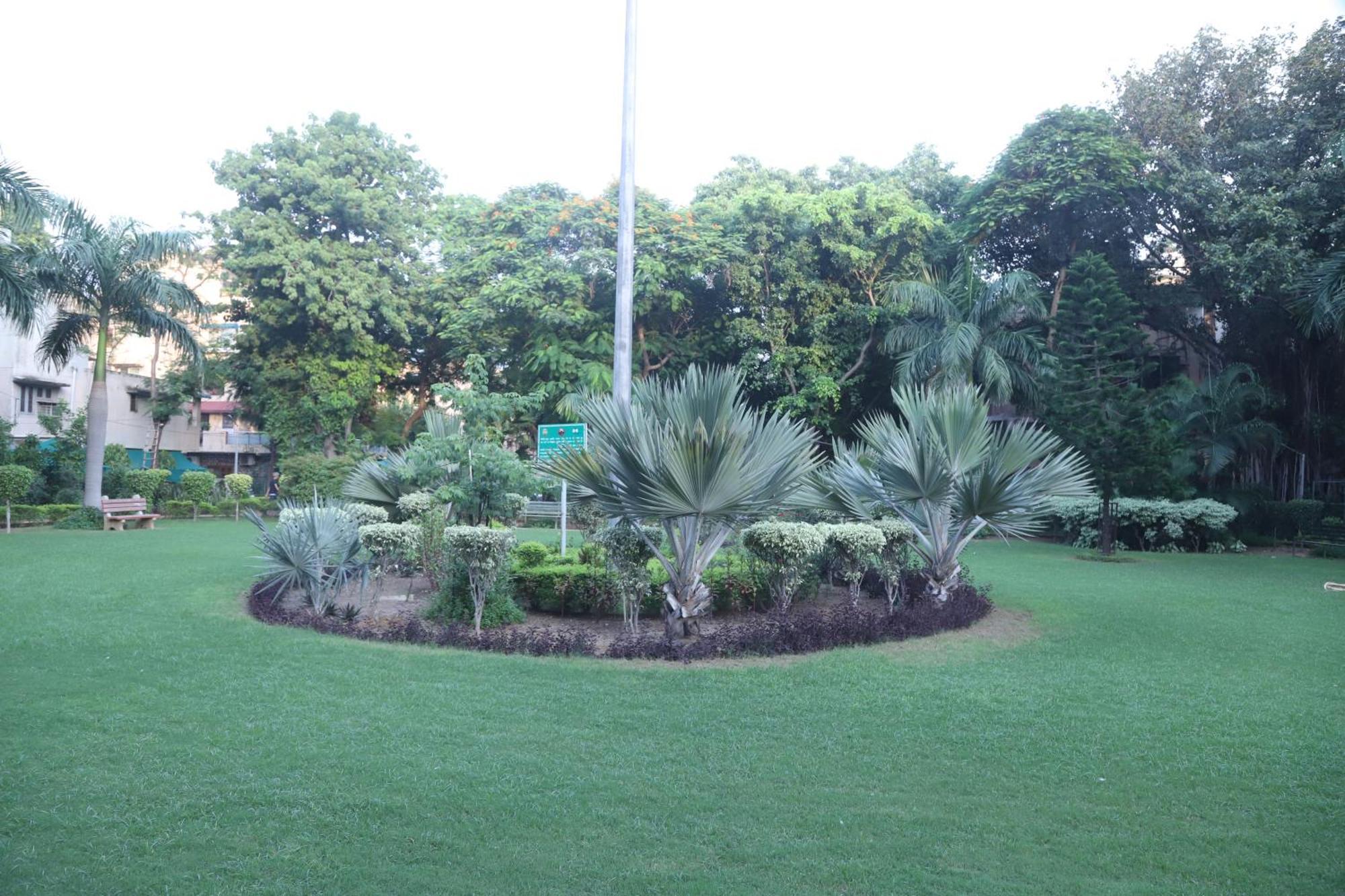 Divine India Service Apartment 3Bhk,B57 Sarita Vihar,Apollo New Delhi Eksteriør bilde